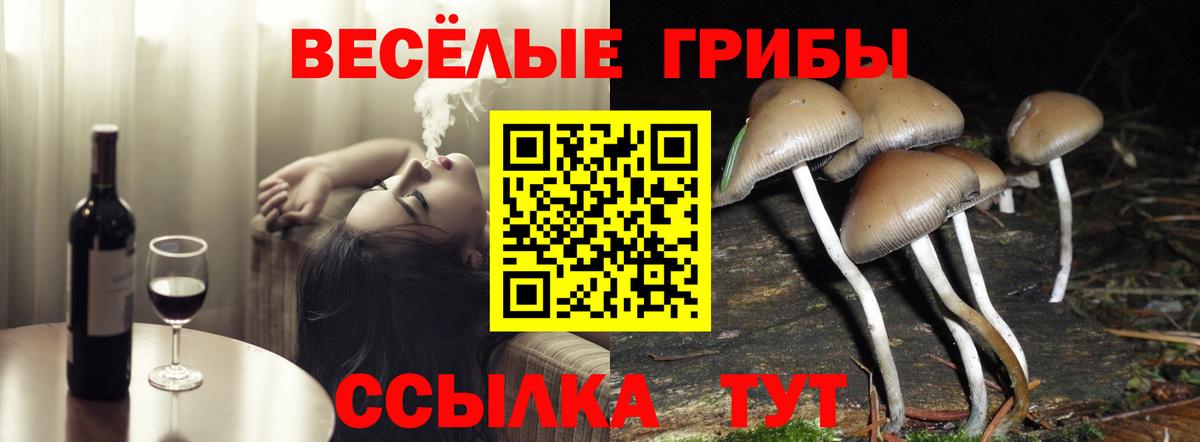 Галлюциногенные грибы ЛСД  Вход с VPN  Новотроицк  Псилоцибиновые грибы прущие грибы 